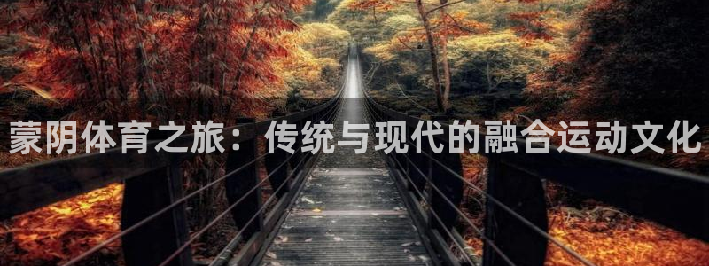 米兰体育官方正版app娱乐网站:蒙阴体育之旅:传统与现代的融