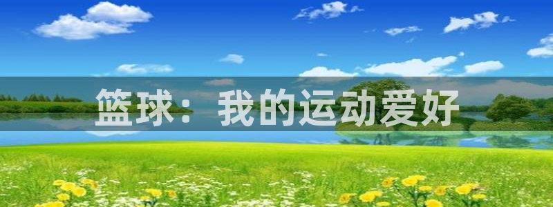 米兰体育官方正版app集团logo:篮球:我的运动爱好