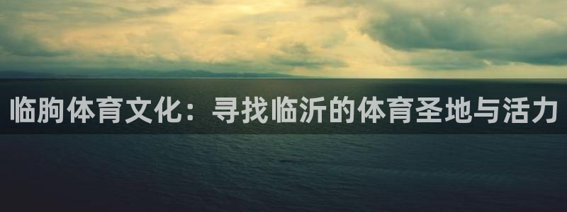 米兰体育官方正版app娱乐40996:临朐体育文化:寻找临沂