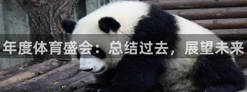 米兰体育官方正版app集团官网首页网址:年度体育盛会:总结过