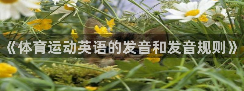 米兰体育官方正版app娱乐下载:《体育运动英语的发音和发音规